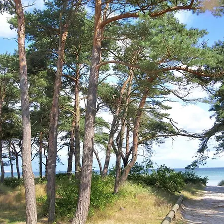 Muriel - 150m From The Sea By Interhome *